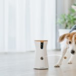 The Best Pet Cameras for 2026