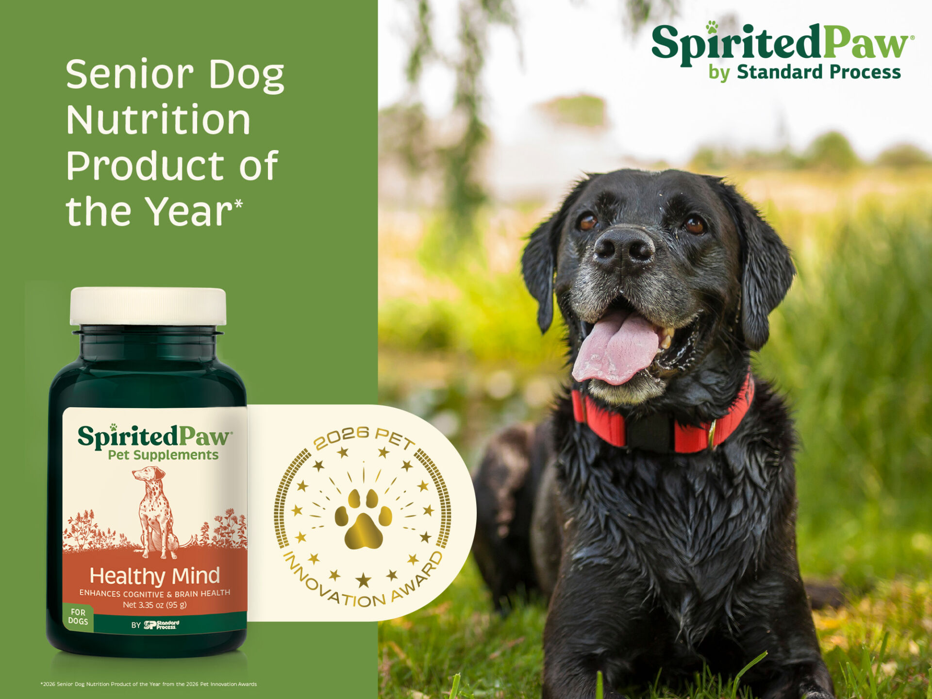 Spirited Paw® Healthy Mind By Standard Process® Named 2026 Senior Dog Nutrition Product of the Year